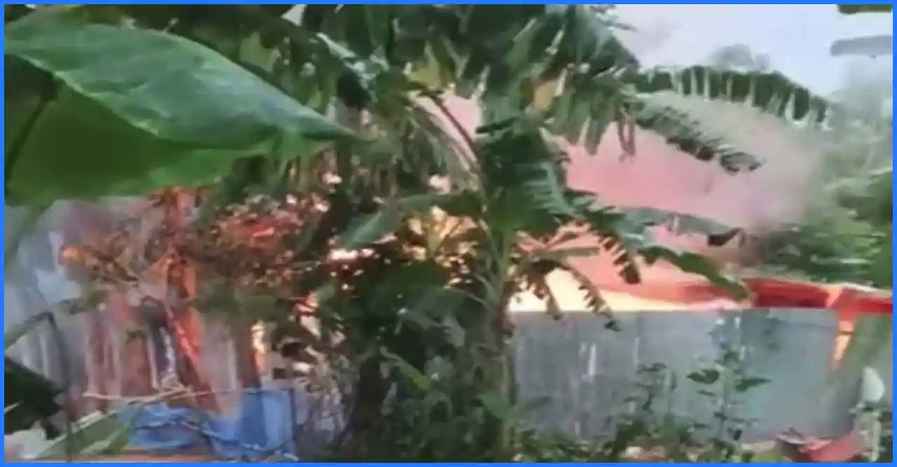 পাবনায় কিশোরীকে ধর্ষণ ও হত্যার জেরে আসামির বাড়িতে অগ্নিসংযোগ, নিহত তিন