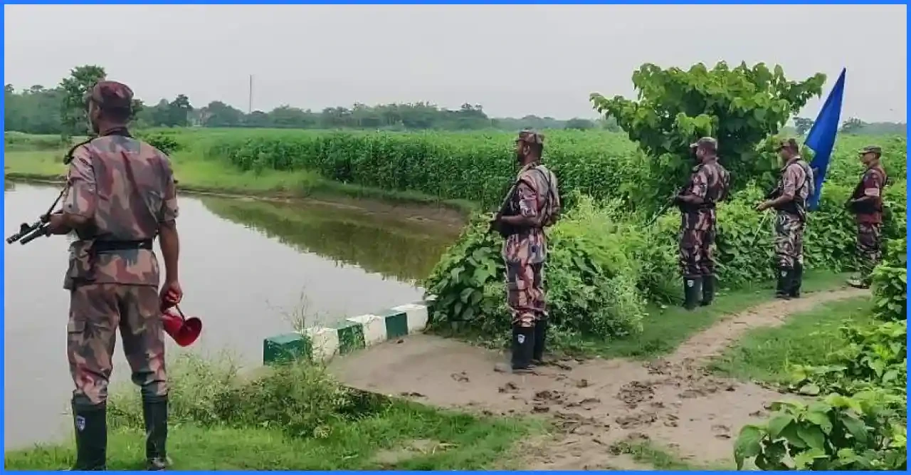 মেহেরপুর সীমান্তে জোরপূর্বক অনুপ্রবেশের চেষ্টা, বাংলাদেশের সীমান্তরক্ষীদের দৃঢ়তায় ব্যর্থ