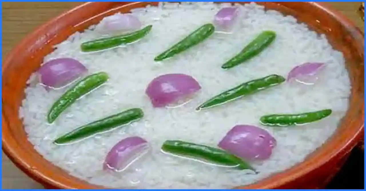 গরমে শরীর ঠান্ডা রাখতে এবং রোগ প্রতিরোধ ক্ষমতা বাড়াতে পান্তা ভাতের অবিশ্বাস্য স্বাস্থ্য উপকারিতা