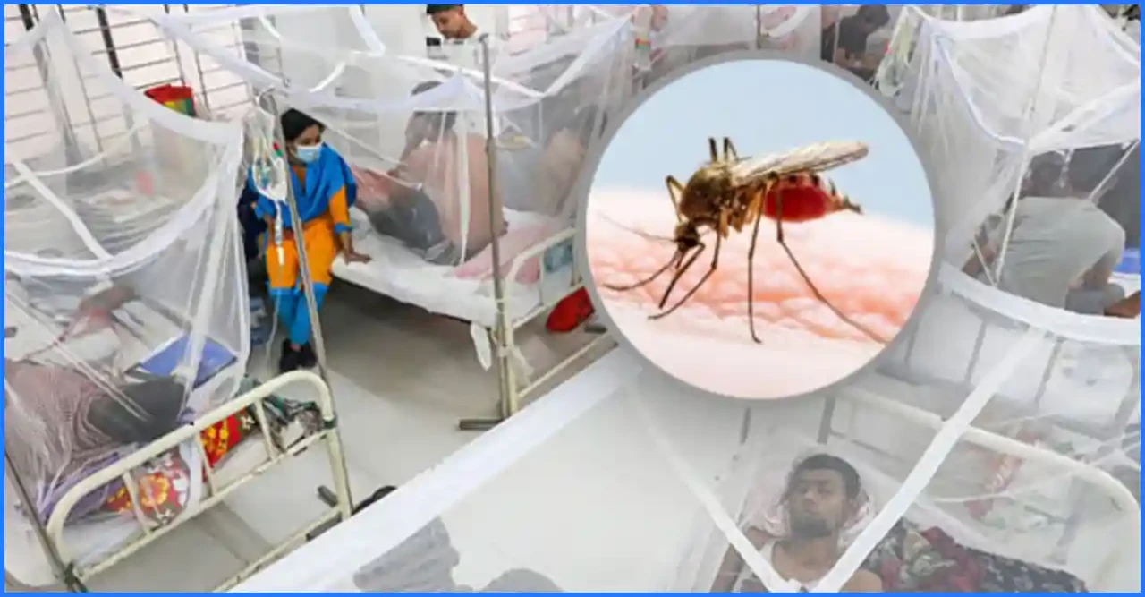 ডেঙ্গুতে​​​​​​​ একদিনে সর্বোচ্চ ১১ মৃত্যু, হাসপাতালে ভর্তি ২০৭১ জন