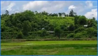 বাংলাদেশ-মিয়ানমার সীমান্তে অনাকাঙ্ক্ষিত মাইন বিস্ফোরণ, তিন বাংলাদেশির মৃত্যু