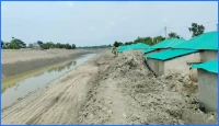 নদী খননের মাটিতে চাপা পড়েছে আশ্রয়ণ প্রকল্প, চরম দুর্ভোগে গৃহহীনরা