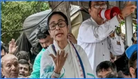 দলে বড় ভাঙনের জেরে তৃণমূল কংগ্রেসের সব কমিটি বিলুপ্ত ঘোষণা