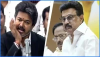 তামিলনাড়ুর মুখ্যমন্ত্রীর 'ভাঙা চোয়াল' নিয়ে বিজয়ের কটাক্ষ, তুমুল বিতর্ক