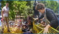 বিক্ষোভে​​​​​​​ উত্তাল দিল্লি, পুলিশের ব্যারিকেড ভাঙলেন রাহুল-প্রিয়াঙ্কা