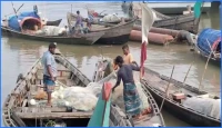 মা ইলিশ রক্ষায় ২২ দিনের নিষেধাজ্ঞা, চরম দুশ্চিন্তায় জেলেরা