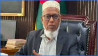 আগামী নভেম্বরের মাঝামাঝি শুরু হচ্ছে স্থানীয় সরকার নির্বাচন